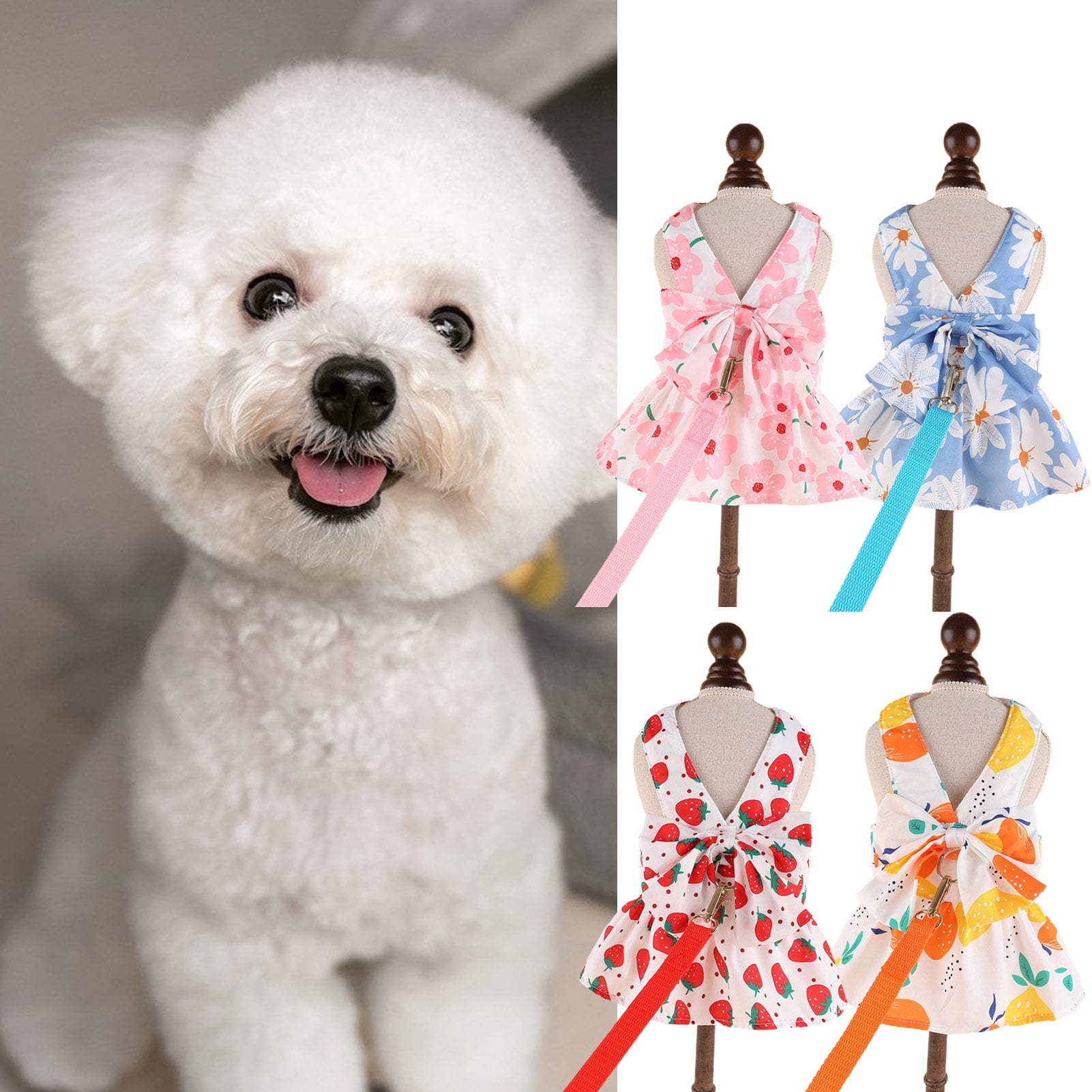 CBFFDC Chrysanthemum Print Dress Cute Dog And Leash Set with