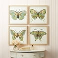 thumbnail image 2 of 51961 Butterfly Paper Collage Wall Art - Set of 4, 2 of 2