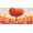 Color7, variant on Decorative License Plate with Moon Stars Spider Web Design, Auto Plate Cover, Aluminum, 6 x 12 Inch