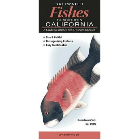 Saltwater Fishes of Southern California : A Guide to Inshore and Offshore (Best Lakes To Fish In Southern California)