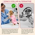 thumbnail image 6 of Recovery Suit for Dogs Cats After Surgery, Pet Recovery Gear after Spay，M, 6 of 9