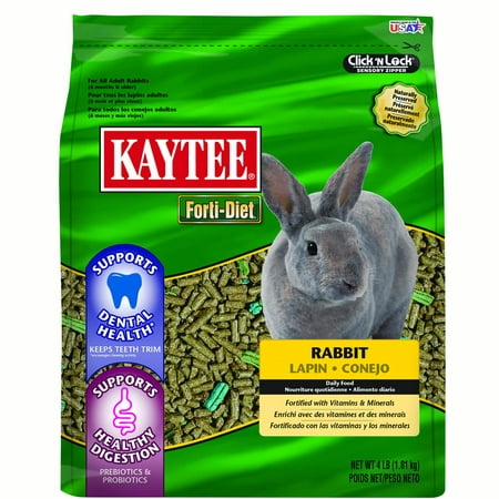 Kaytee Forti-Diet Dental Rabbit 4LB