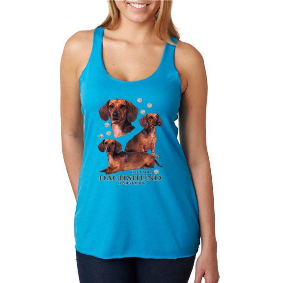 If It's Not a Dachshund It's Just a Dog Gift | Womens Dog Lover Premium Tri-Blend Racerback Tank Top, Vintage Turquoise, X-Large