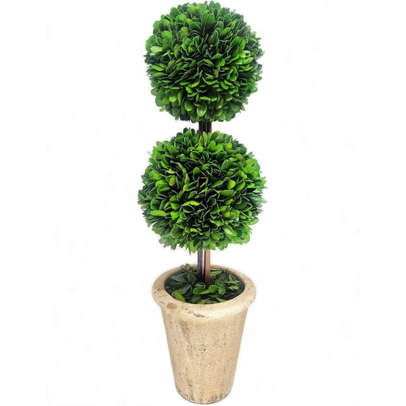 Preserved Boxwood 20" Double Ball Topiary