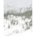thumbnail image 2 of Chandler, Sharon 15x18 White Modern Wood Framed Museum Art Print Titled - Lush Dunes V, 2 of 4