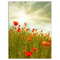 thumbnail image 2 of Design Art - Fleurs de Pavot Rouges dans un Champ Vert, 2 of 3
