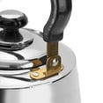 thumbnail image 6 of Aramco Alpine Cuisine Double Stainless Steel Tea Kettle with Strainer, 6 of 8