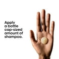 thumbnail image 2 of L'Oreal Professionnel Absolut Repair Shampoo - 300 ml, 2 of 5
