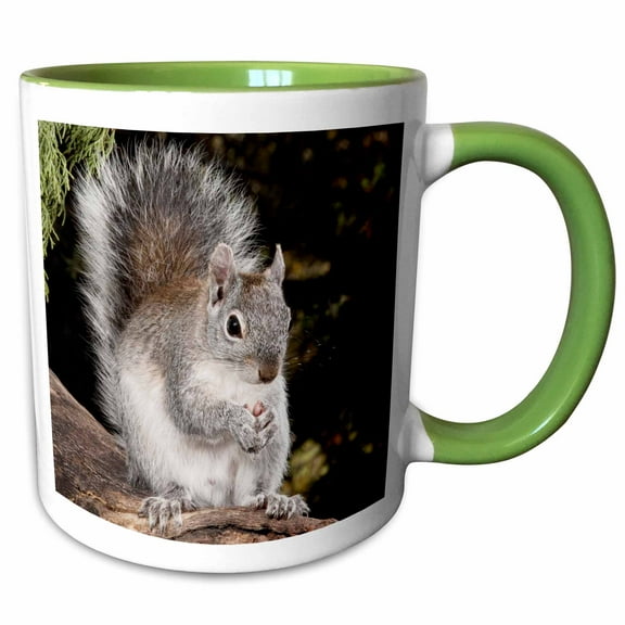 3drose, Usa, Arizona, Gray Squirrel Wildlife - Us03 Jmc0022 - Joe and Mary Ann Mcdonald, 11oz Two-tone Green Mug