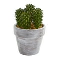 thumbnail image 4 of Nearly Natural 8" Plastic and Polyester Cactus Artificial Plant (Set of 3), Green, 4 of 6