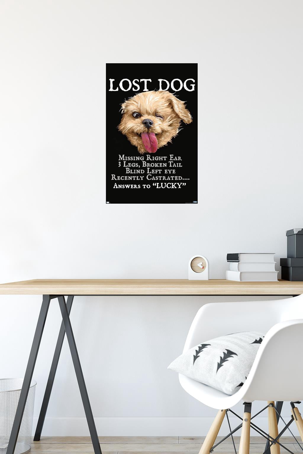 Jim Baldwin - Lost Dog Wall Poster, 14.725" x 22.375"