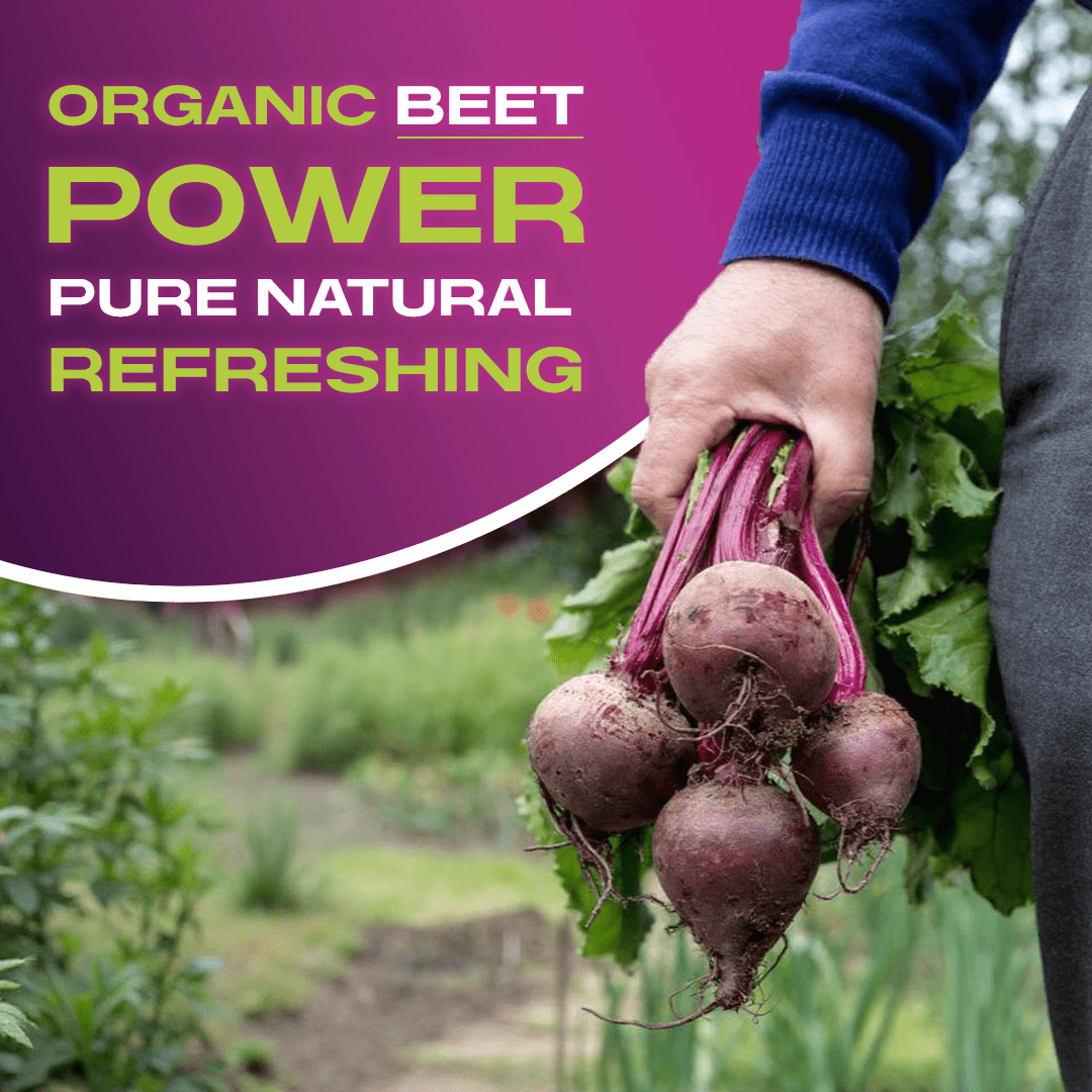 Beet It Beet Juices, 8.5 Fl Oz, 12 Count