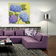 thumbnail image 5 of Epic Art 'Spring Hydrangeas II' by Tim O'Toole, Acrylic Glass Wall Art, 36"x36", 5 of 6