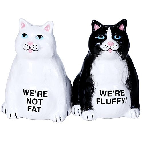 2 fat cats scarborough 2 fat cats scarborough