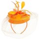 thumbnail image 1 of Tea Party Fascinator Hat Headband Hat Clip Plume Fascinator Tea Party Hair Accessory, 1 of 4