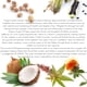 thumbnail image 2 of ACONDICIONADOR Botanical Green Care 'Lavender & Cedarwood' - Acondicionador fortalecedor del crecimiento del cabello espesante para cabello fino. Color, 2 of 5