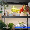 thumbnail image 2 of Grow Lights for Indoor Plants Full Spectrum Sunlight ft Plant Growing Lamp LED Grow Light Bulbs T Grow Light Strip Yellow -, 2 of 7