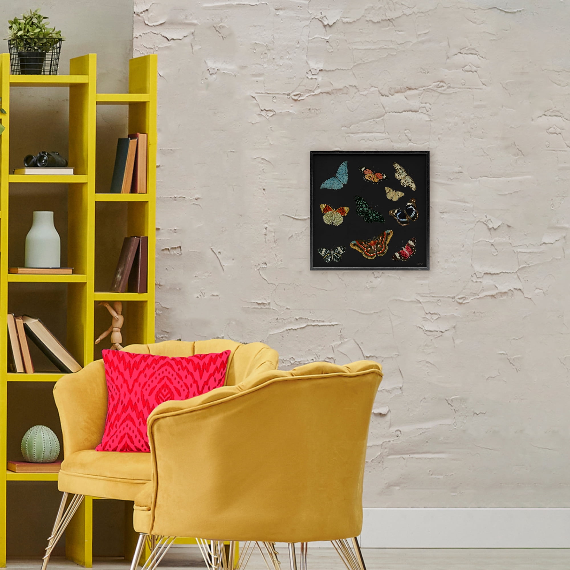 Stupell Industries Insects Group on Black Black Framed Giclee Art, design by Dan Meneely