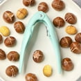 thumbnail image 3 of Portable Opener Opener Portable Easy to Use Compact Nut Opener for Chestnuts Walnuts Anti-slip Handle Sharp Blade Effortless Peeling Tool for Home, 3 of 8