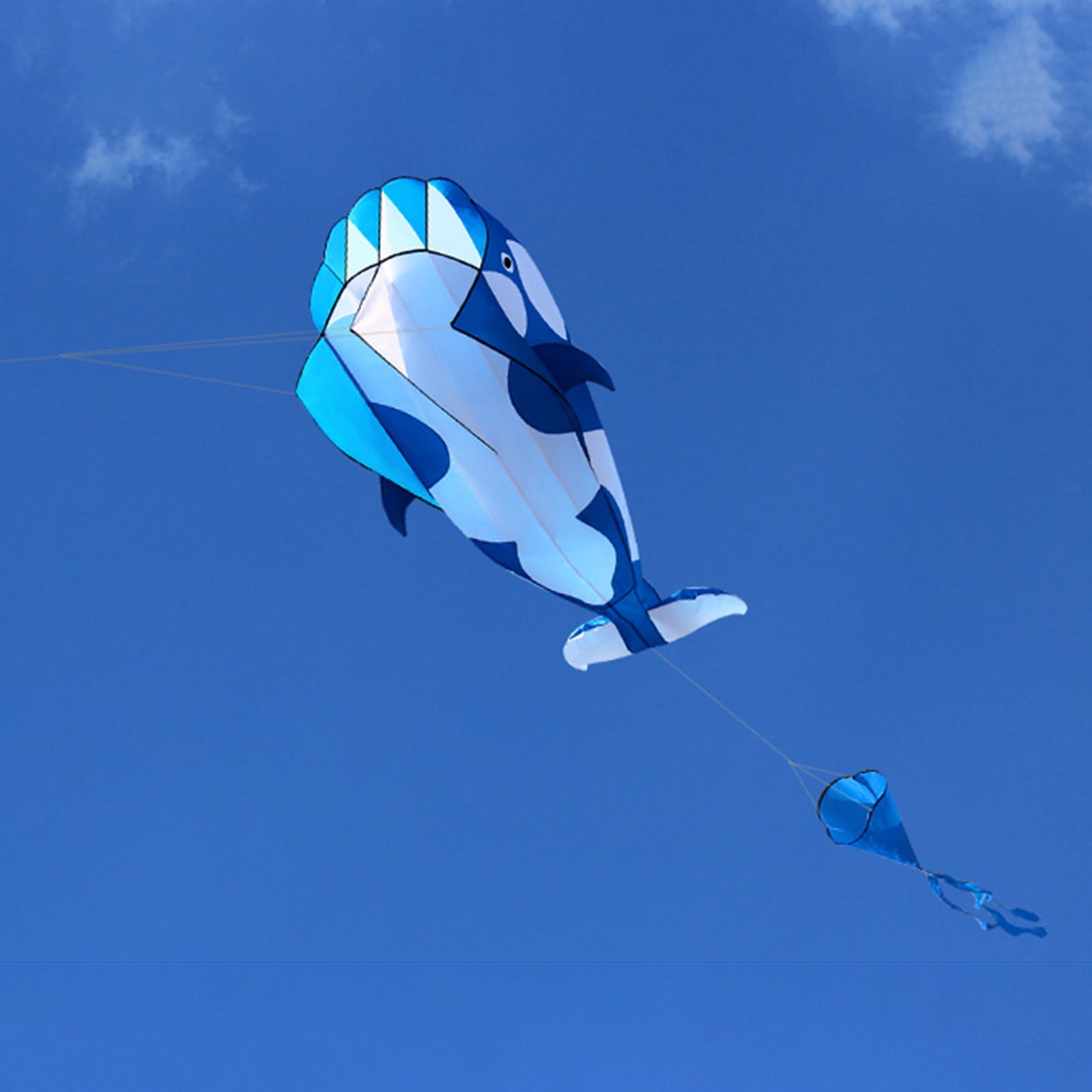 Fridja Kites For Kids Easy To Fly Giant Topus-Kites With Long Tail 157 Inches Long Perfect Toy For Kids And Adults In This Beautiful Season