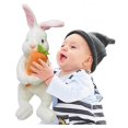thumbnail image 5 of Conejito de Pascua de peluche, muñeco de conejo de Pascua, conejito abrazando zanahorias, juguetes de peluche para regalo de niños, marrón, 5 of 5