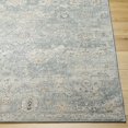 thumbnail image 4 of BoutiqueRugs Pavan Traditional Area Rug - Peach, Blue, Medium Gray - 5'3" x 7', 4 of 7