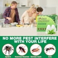 thumbnail image 5 of Vamoo~Peppermint Oil Spider RepellentBalls 10 Pack for House Garage to Get Rid of Spiders Outdoor Indoor– Natural Deterrent for Home, Garage, Car, 5 of 7
