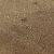 Dark Beige