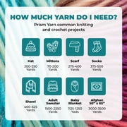 Mary Maxim Prism Yarn, Soft Acrylic DK Variegated Yarn 3.5 oz Skein 290 Yards, Autumn Mist