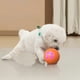 thumbnail image 4 of 2PCS Shaky Ball Toy for Dogs, Shaky Dog Vibrating Ball, Dog Ball, Automatic Moving Toy (BuleOrange), 4 of 4