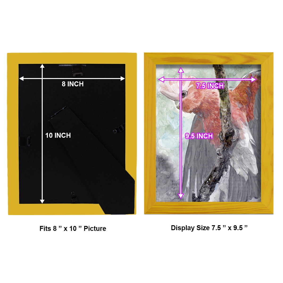 Tropic Parrot II - Framed Print w/glass - Sunflower Yellow