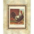 thumbnail image 2 of Ludlow, J.W.  26x31 Gold Ornate Wood Framed with Double Matting Museum Art Print Titled - Rose-Combed Dorking Cock, Cassells Poultry Book, 2 of 4