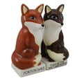 thumbnail image 5 of Ceramic Red Brown Foxes 'For Fox Sake Pass Me The Salt And Pepper!' Shakers Set, 5 of 9