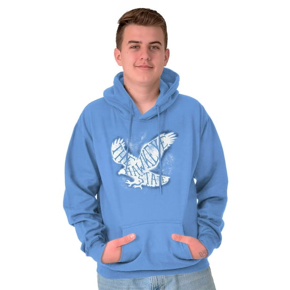 Hawkeye State Cool Stencil Iowa Hawk Unisex Plus Fleece Graphic Hoodie Brisco Brands 2X