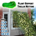thumbnail image 2 of SUNRISEUMBRELLA 6'x3'Trellis Netting Support Net for Plants Climbing Plants Grow Mesh Net, 2 of 4