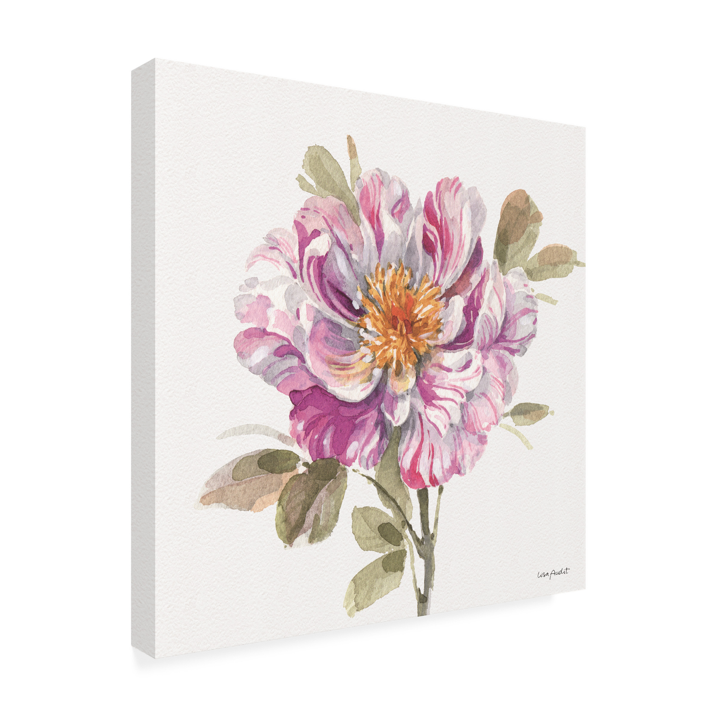 Lisa Audit 'Obviously Pink 04' Canvas Art