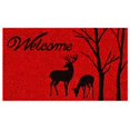 thumbnail image 2 of Home  More 12141 Winter Welcome Doormat, 2 of 10