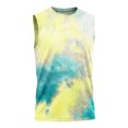 thumbnail image 5 of Ruyang Kids Boys Sleeveless Tank Top Gradient Pastel Print Round Neck Vests Tees Summer Beach Swim Casual Football Basketball Vests, 5 of 7