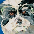 thumbnail image 3 of Mark Z 20x20 Black Modern Framed Museum Art Print Titled - Dog rocks I, 3 of 5