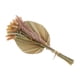 thumbnail image 2 of Hojas de Hierba Baoblaze Decorativas Mezcladas 16 Pulgadas, 2 of 8