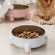 thumbnail image 3 of Laklulu Cuencos Desmontables para Perros, Cuencos de Acero Inoxidable para Perros, Cuencos de Agua para Comida para Perros, Cuenco de alimentación para Mascotas, Inoxidable, 150 * 60 mm, 3 of 5