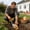 M, variant on XINGXIANG 11.8IN Small Garden Trowel, Ergonomic T Handle, Multifunctional Hand Shovel, Gardening Tools for Digging Wild Vegetables, Transplanting, Weeding(S)
