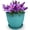 Surf, variant on Headwind Glazed Ironstone Edison Collection – 5" Capri Blue Flower Pots for Indoor Plants – Modern Plant Pot Indoor with Drainage –Perfect for Snake Plant, Aloe Vera & Garden Décor by Robert Allen