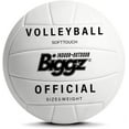 thumbnail image 5 of Biggz Bag of Sport Balls – Basketball, Soccer Ball, Football, Volleyball, Playground Ball, and Pump, 5 of 7
