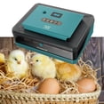 thumbnail image 1 of Incubadora de granja, incubadora de huevos, automática, ligera, inteligente, máquina para incubar huevos, incubadora de aves de corral para codorniz, 1 of 8