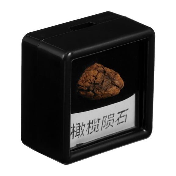 MLINS Meteorite Specimen for Collection Stone Material Science Classroom Teaching Sample Small Size