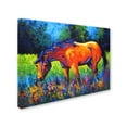 thumbnail image 2 of Trademark Fine Art 'MareII' Canvas Art by Marion Rose, 2 of 3