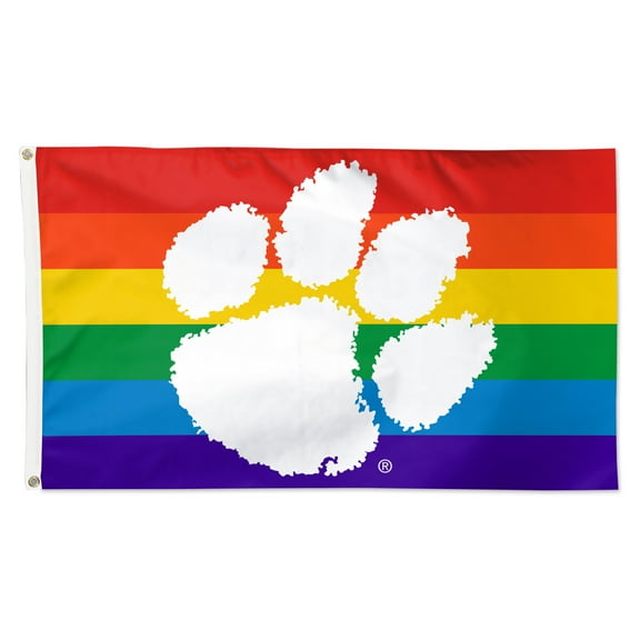 WinCraft Clemson Tigers 3' x 5' Single-Sided Deluxe Team Pride Flag