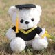 thumbnail image 4 of Oso de peluche con temática de graduado: regalo de cumpleaños al por mayor, 4 of 5