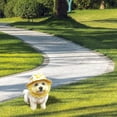 thumbnail image 4 of Dog Head Cover,Mesh Anti Scavenging Soft Protector | Dogs Face Muzzle Mouth Cover | for Pet Kitten Small Medium Indoor Outdoor Garden Hiking Camping Walking, 4 of 5